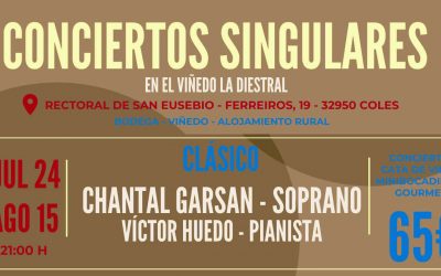 Conciertos Singulares: CLÁSICO 24 de julio y 15 de agosto