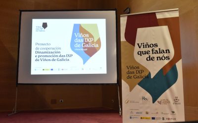 Vides Singulares participa en el proyecto de dinamización de los vinos de las IGP gallegas «Viños que falan de nós»