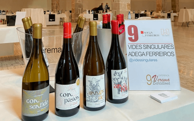 Presentación de los vinos de Val do Miño en Verema Barcelona