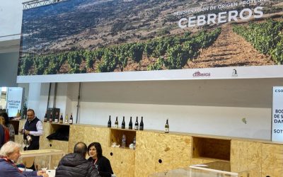 con_sentido 2019 y com_pasión 2019 en la BWW